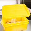 Traex® Color-Mate™ recessed food storage box lid in yellow