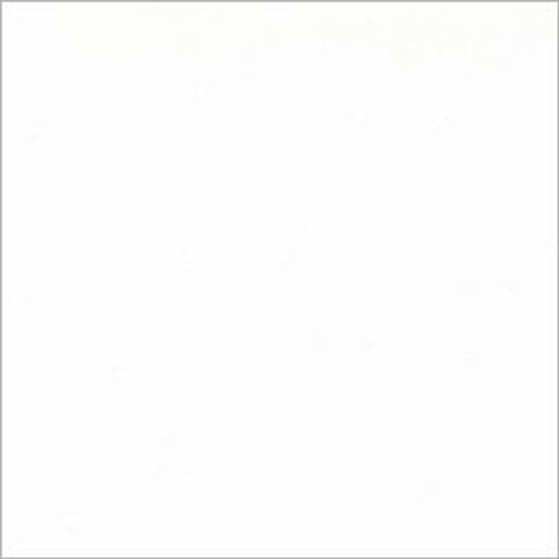 White square panel with a thin gray border â€” sitting blank and featureless â€” in an evenly lit, neutral setting resembling a framed blank canvas or page.