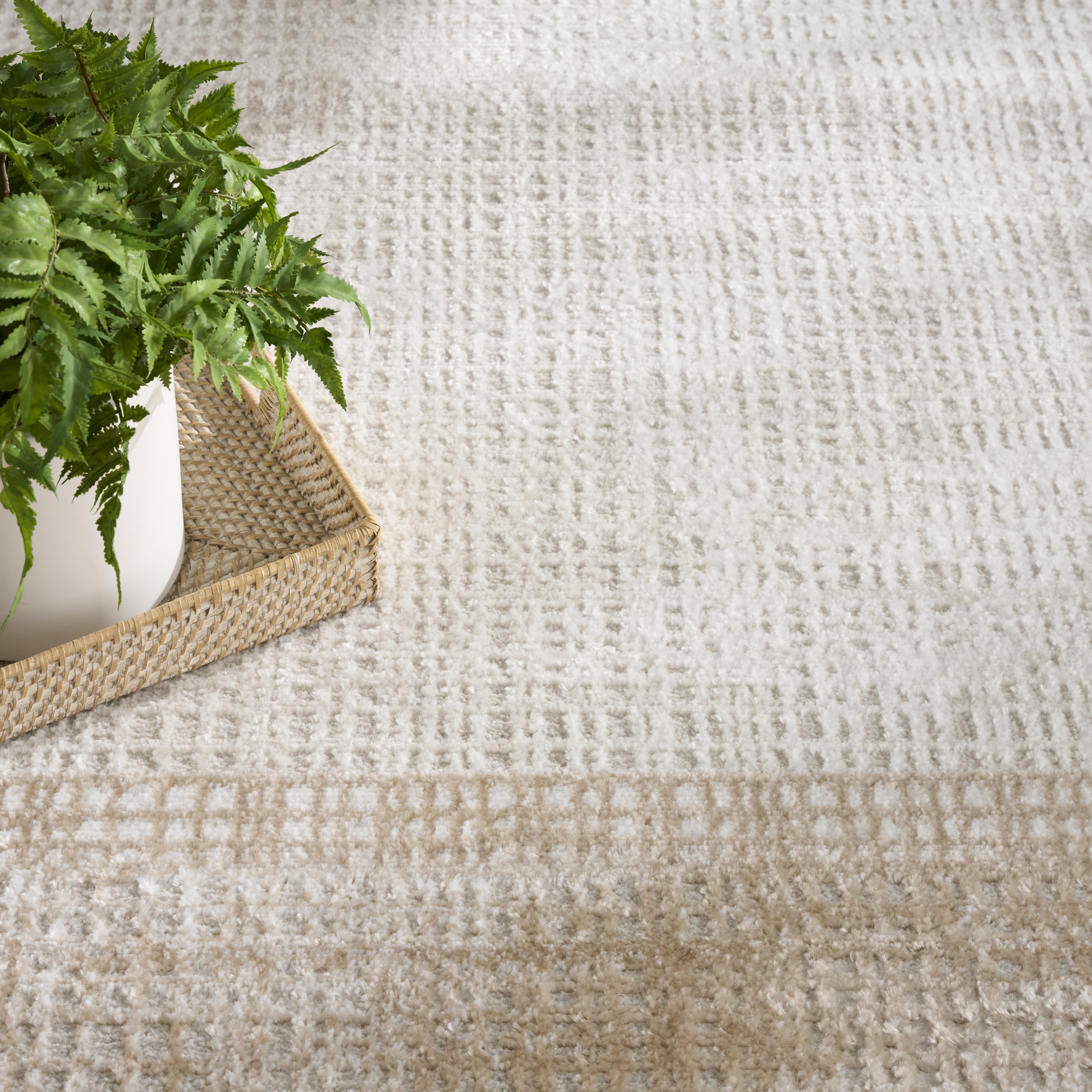 Nourison Dekor 4' x 6' Ivory Beige Modern Indoor Rug