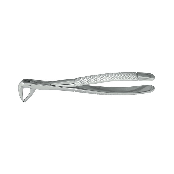 Nordent #74 Lower Root Extraction Forcep, Serrated