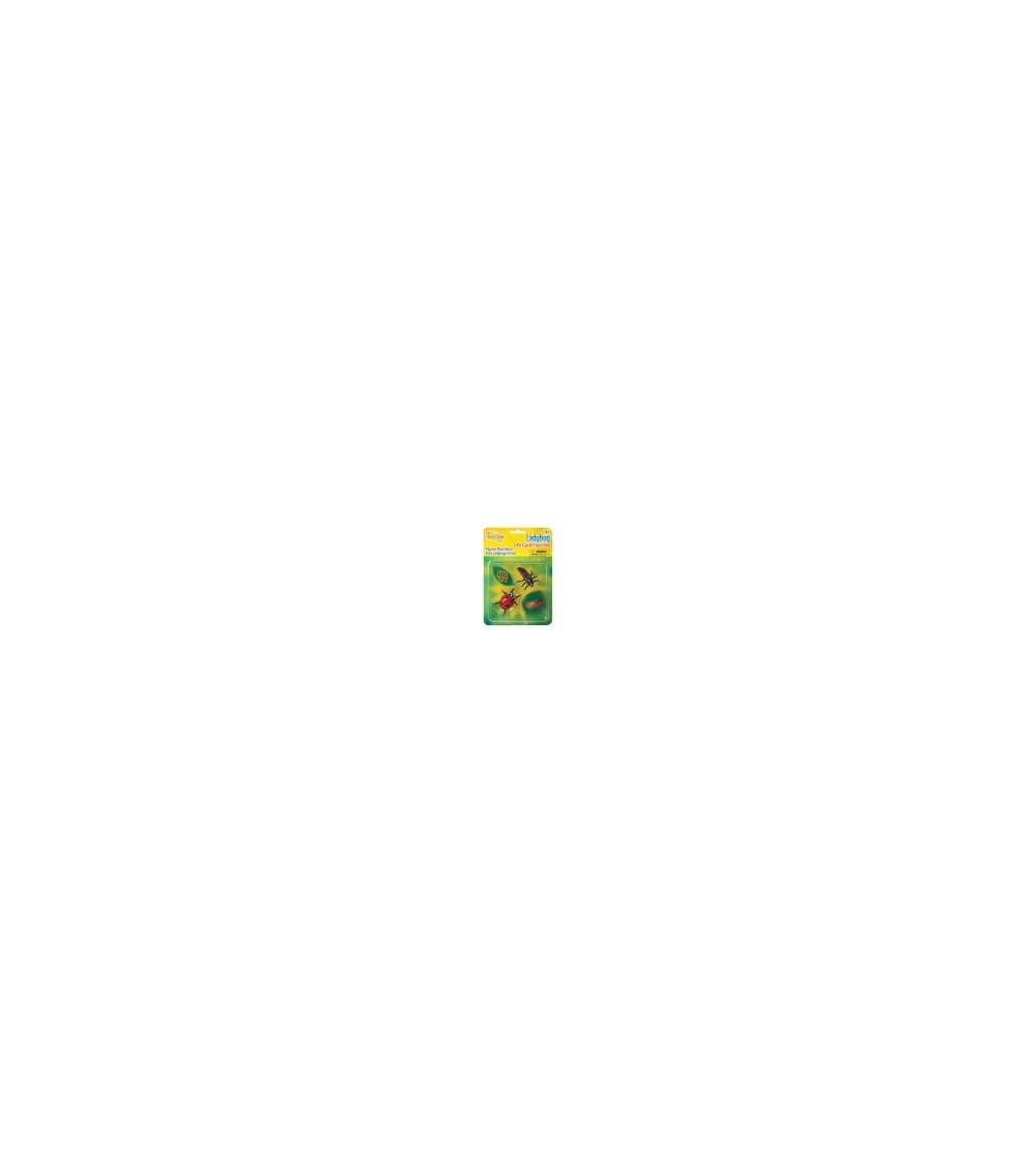s--WbMxiP1f--/sbh9wavpjnwcljhcibtd.jpg