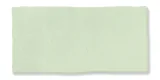 Fez Mint 2×5 Field Tile Matte