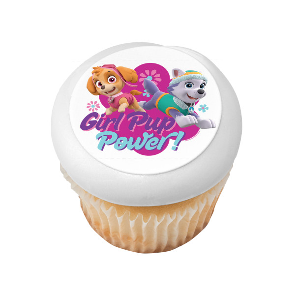 PAW Patrol Girl Pup Power PhotoCake® Edible Image®