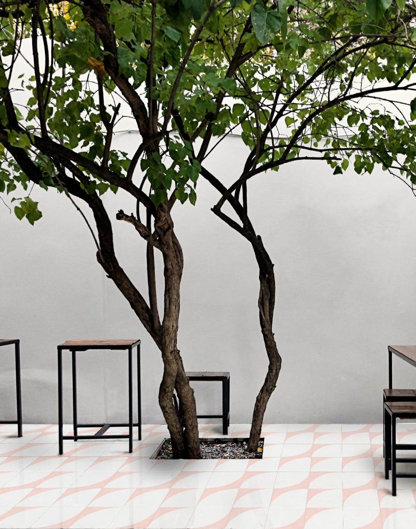 a table and chairs with a tree in the background.