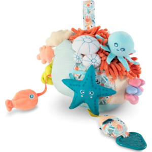 Sensorial Reef