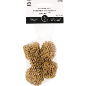 Synthetic Sponge Value Pack, Pack of 5