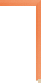 [205217]Darien Liner Orange 3/4