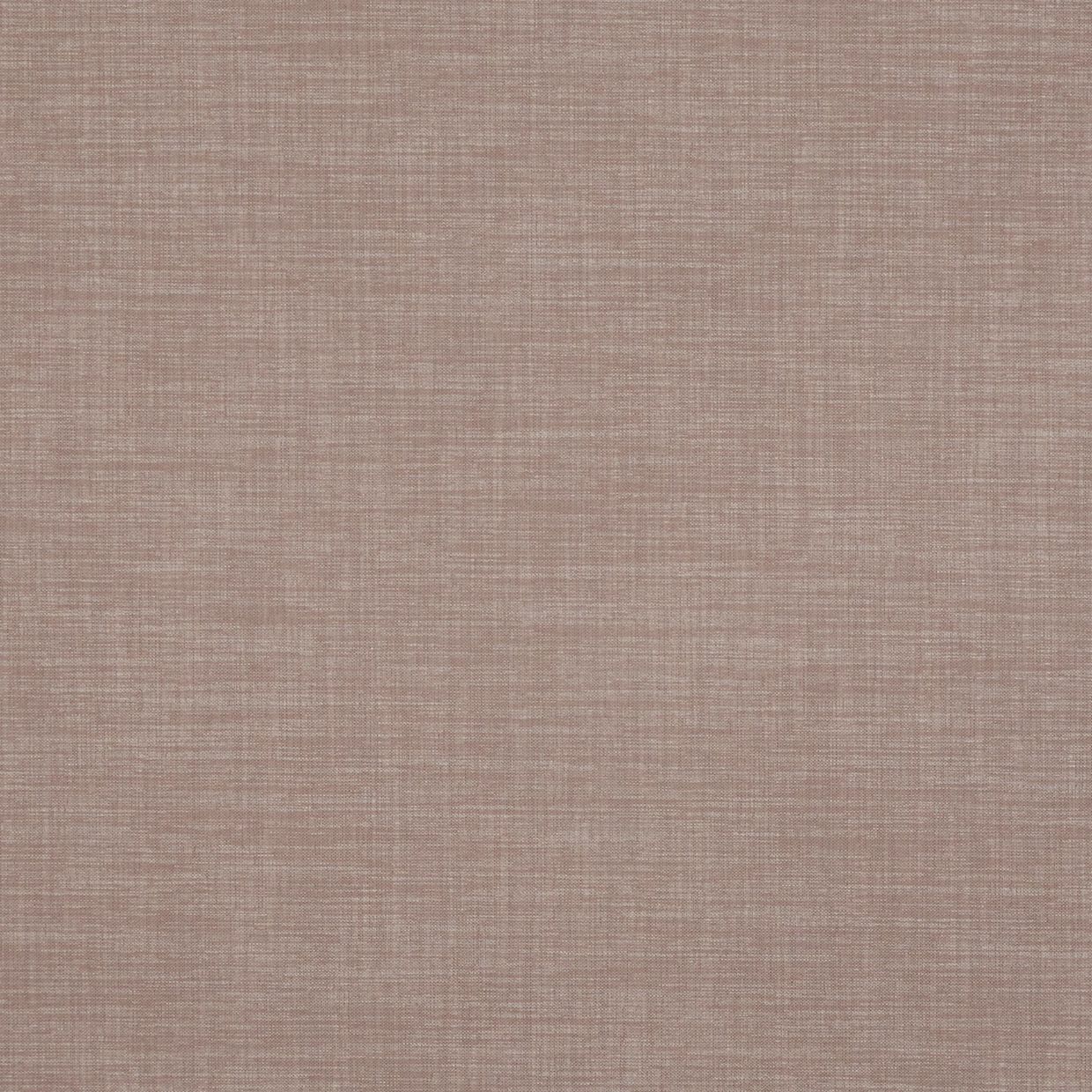 Hayden Blackout Ebony Conservatory Roller blind