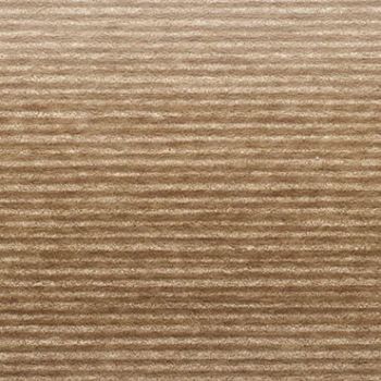 Beige corduroy fabric with narrow horizontal ribs â€” lying flat, showing pronounced ribbed texture â€” close-up macro view under warm, even lighting, no surrounding objects.