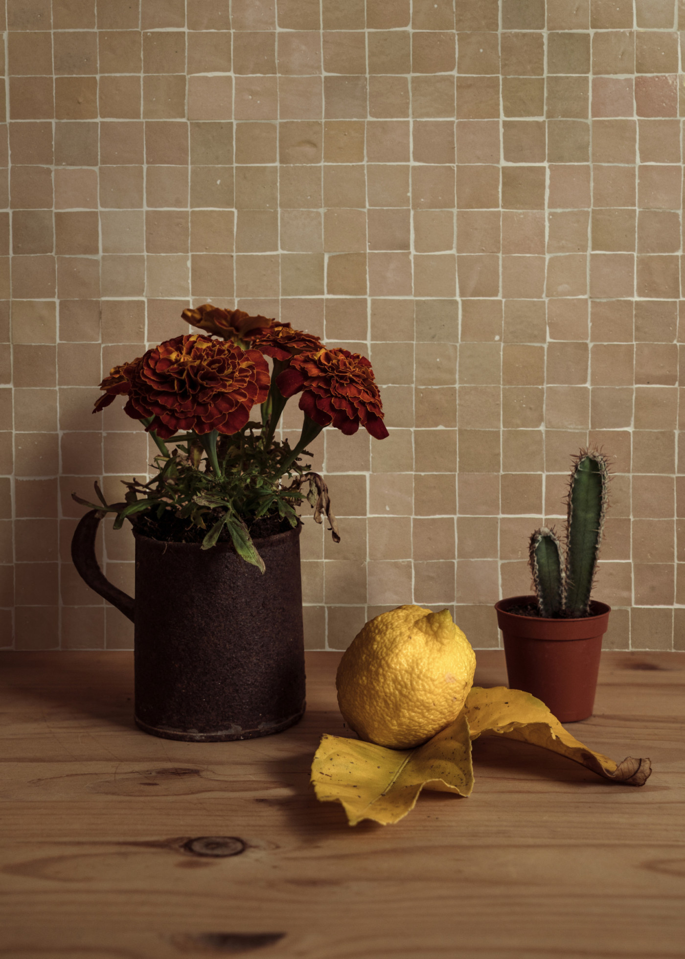 a pot of flowers on a counter next to a lemon, leaves and a cactus.