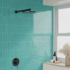 Hammer Aqua 2x6 and 2x6 Decor Mix
