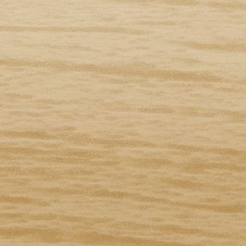 Light-colored wooden panel with subtle horizontal grain; smooth, matte surface occupying the frame; photographed close-up under even, warm studio lighting, no other objects or visible context.