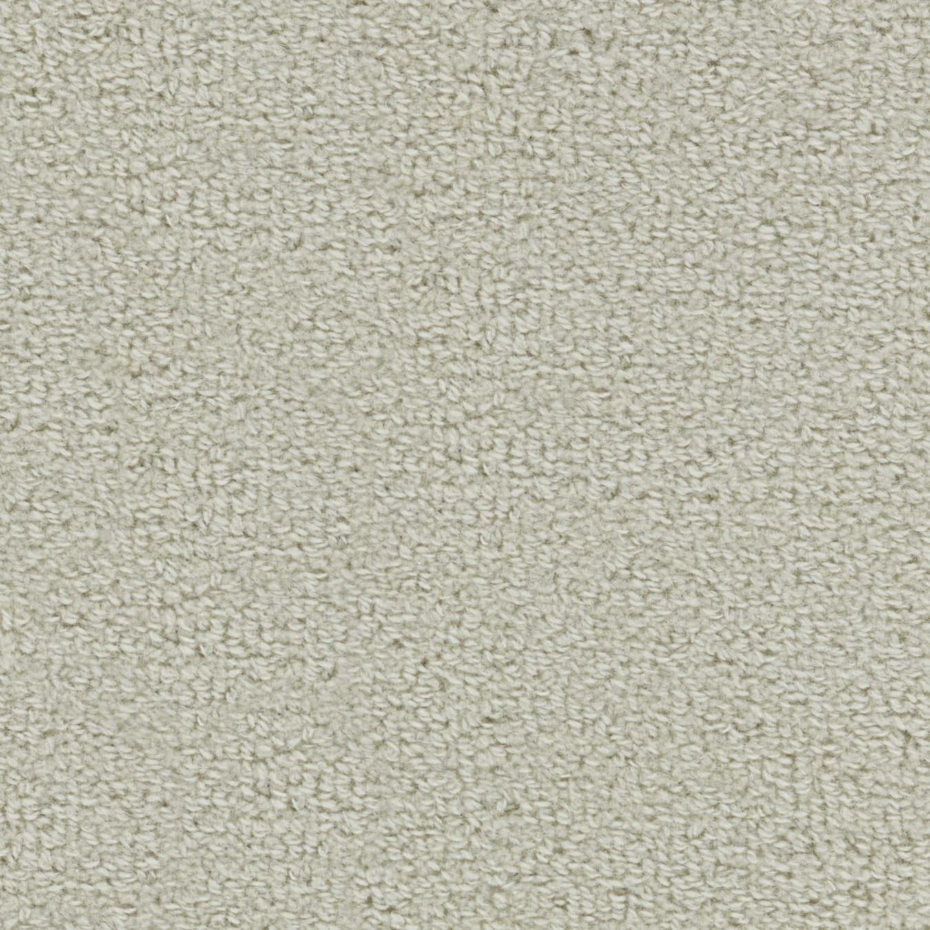 color-rug1