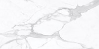 Amica Venatino 24×48 Field Tile Honed Rectified