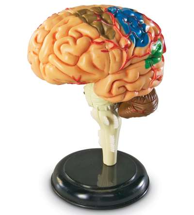 s--XATtuwMf--/qoe4bv87nux3najdhcna.jpg