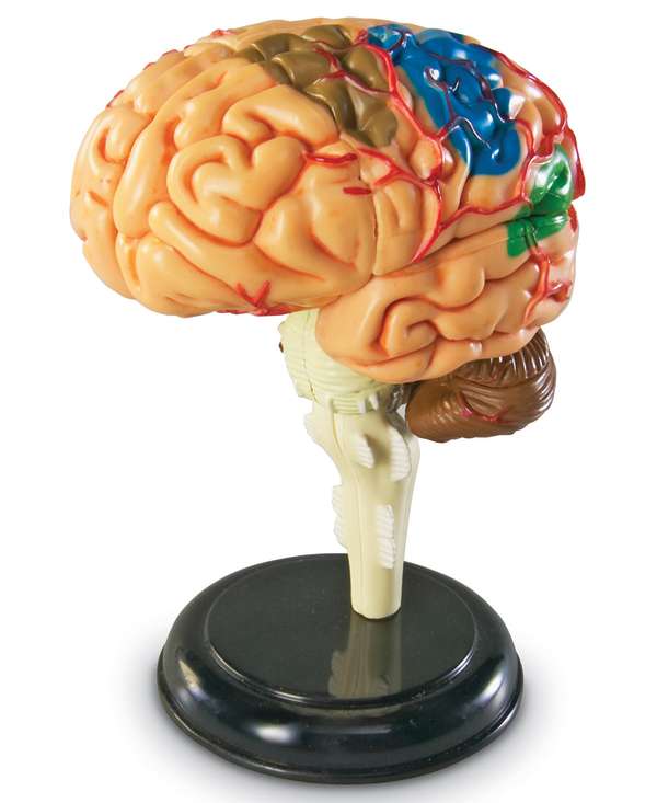 s--XATtuwMf--/qoe4bv87nux3najdhcna.jpg