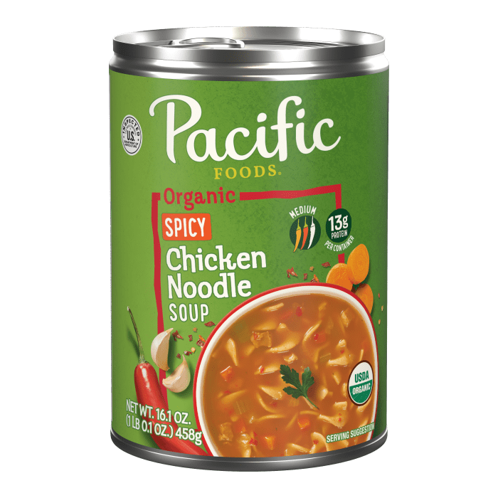 Organic Spicy Chicken Noodle Soup