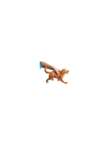 s--XMPqEk8N--/mfckzquzql5l1ssaoqxr.jpg