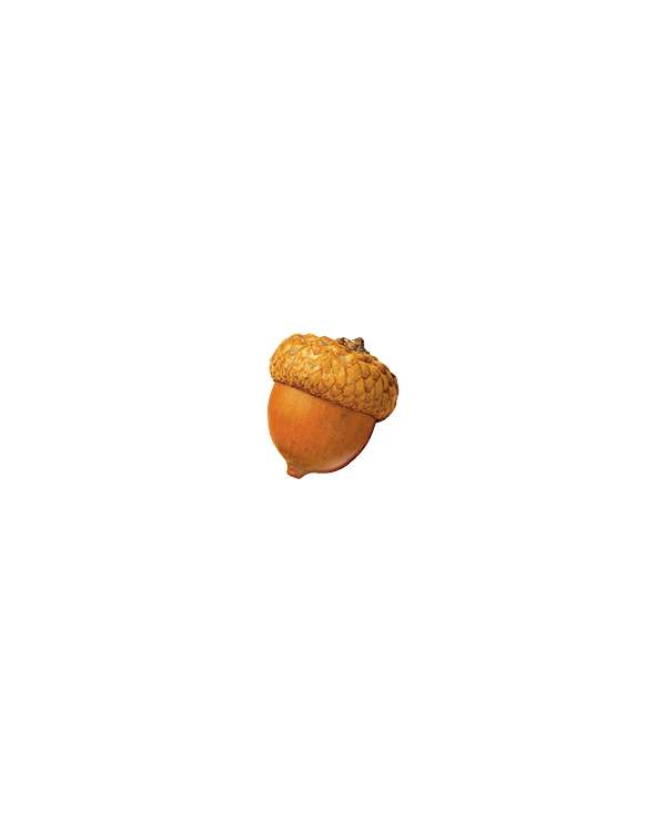 s--XPfO-tL5--/afzdxtdqo9ectegxmmu4.jpg