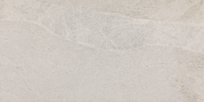 Constant Birch 15×30 Field Tile