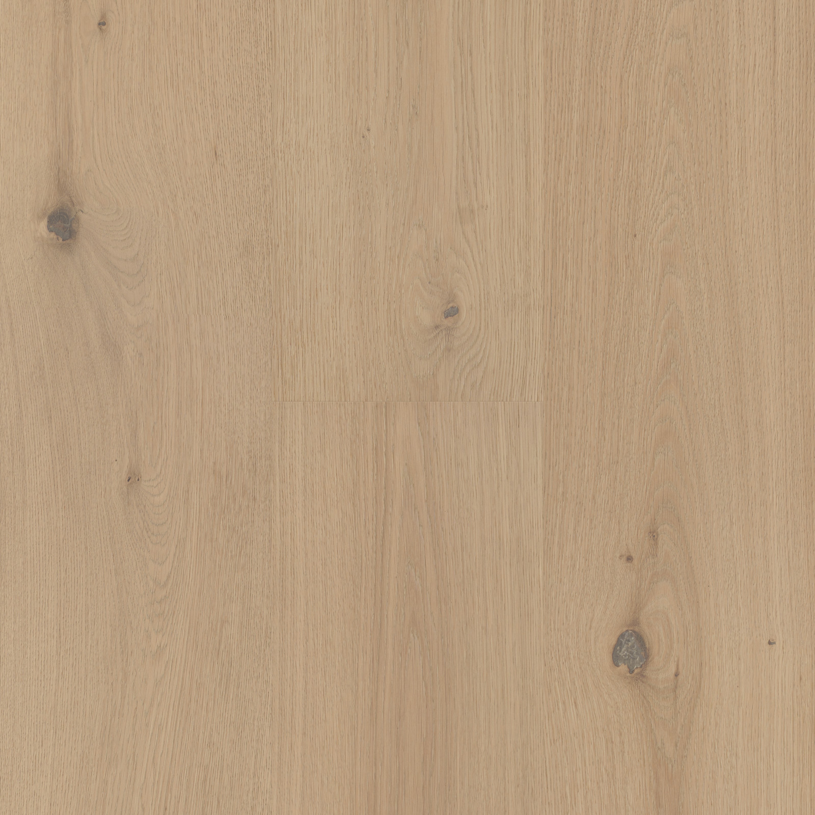 Linden Blossom view 3