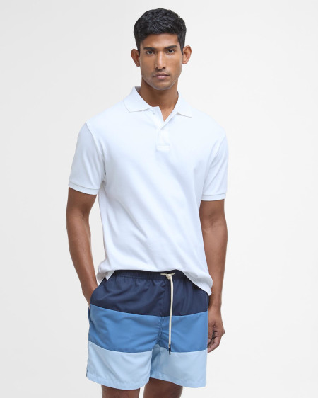 Dale Swim Shorts