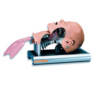 Ambu® Airway Management Trainer