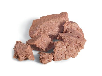 Poodle kibble