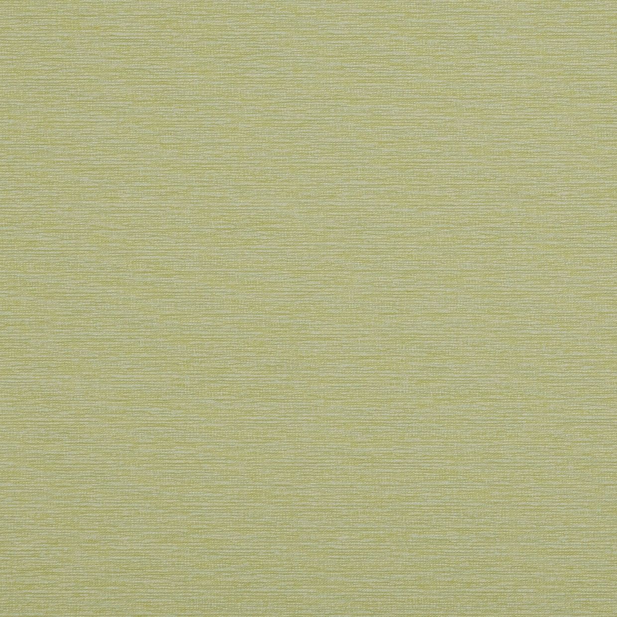 Conscious Lime Roller Blind