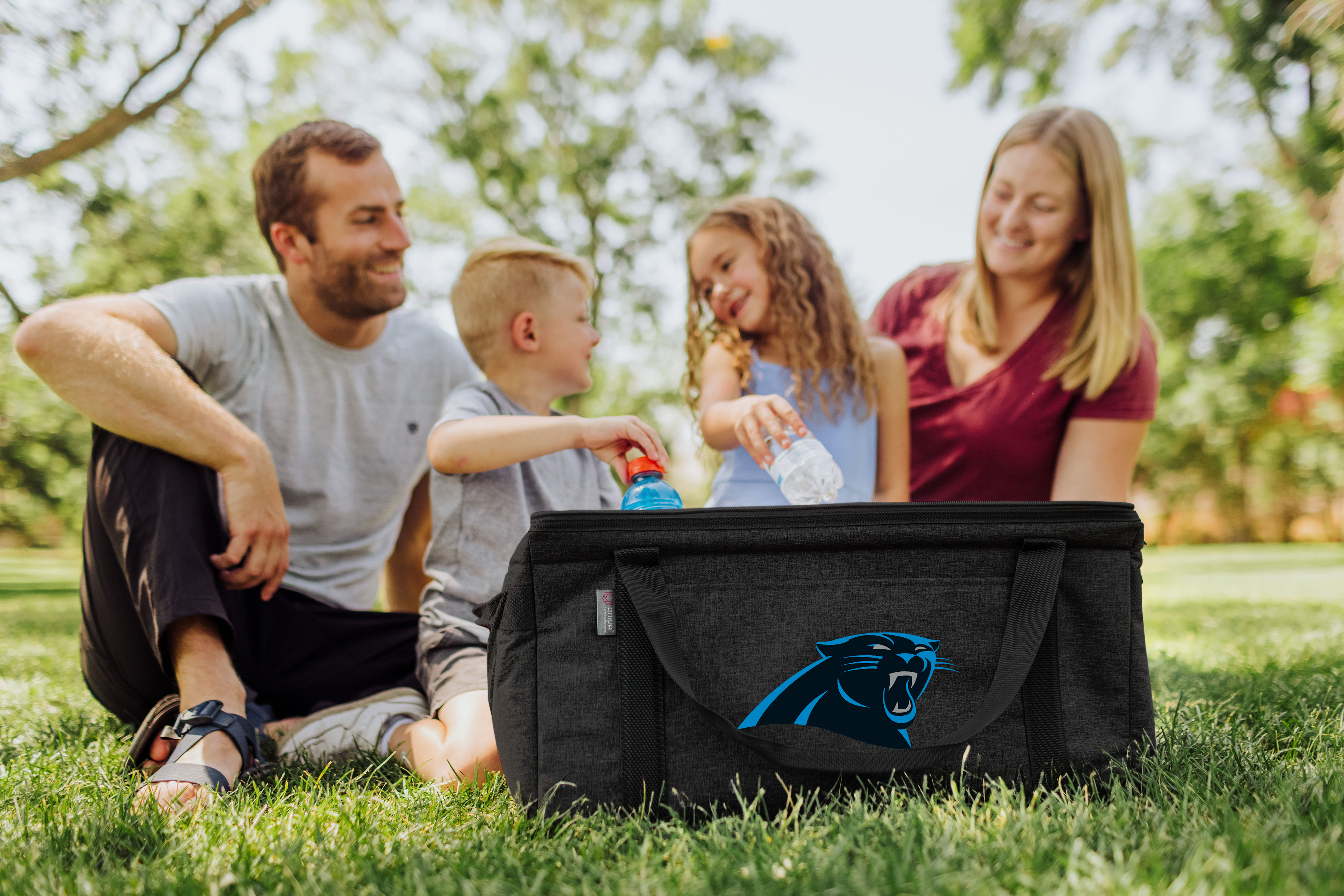 Carolina Panthers - 64 Can Collapsible Cooler