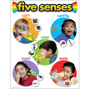 Five Senses Learning Chart, 17" x 22"