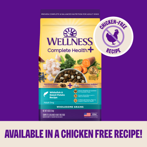 Wellness Complete Health +  Turkey & Oatmeal Recipe marketing callout