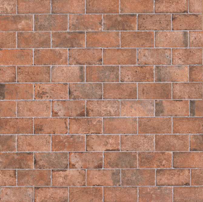 Color Variation Image