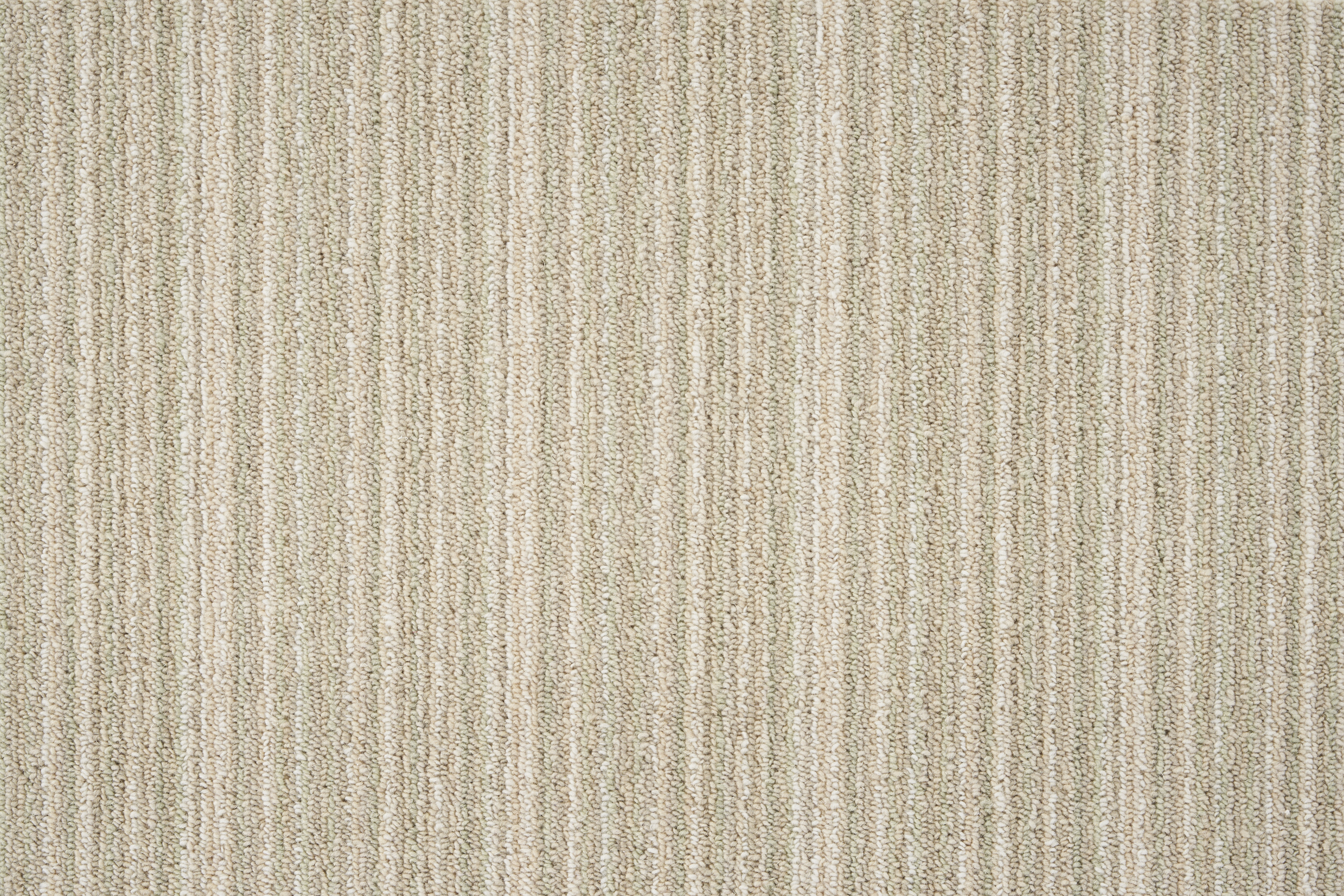color-rug1