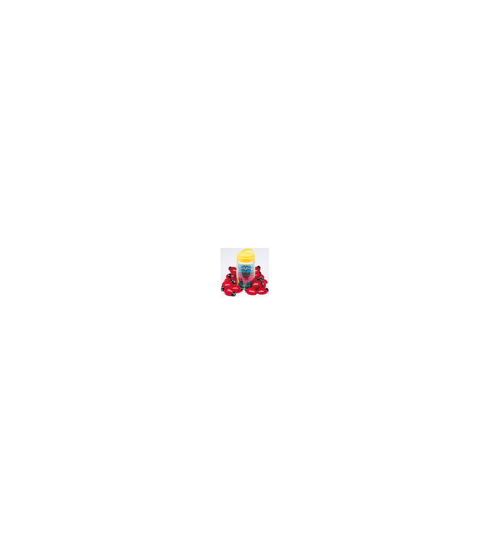 s--XnFmPTPL--/iakwtboysjwzqihmlzf6.jpg