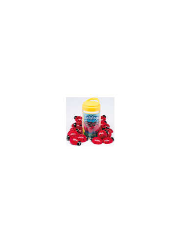 s--XnFmPTPL--/iakwtboysjwzqihmlzf6.jpg
