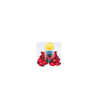 s--XnFmPTPL--/iakwtboysjwzqihmlzf6.jpg