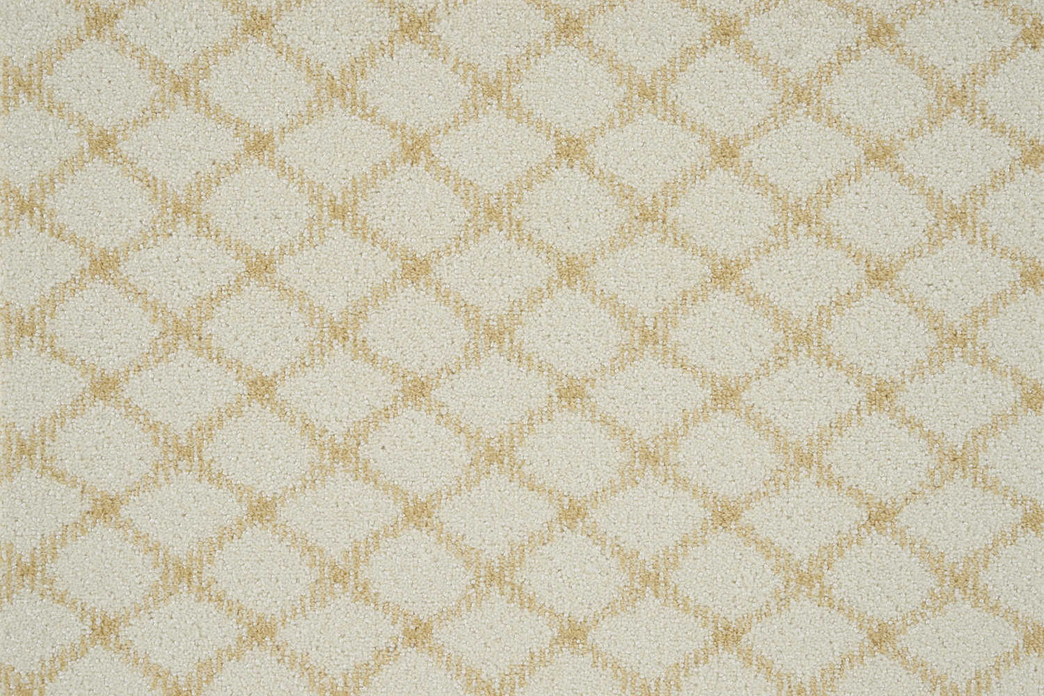 color-rug1
