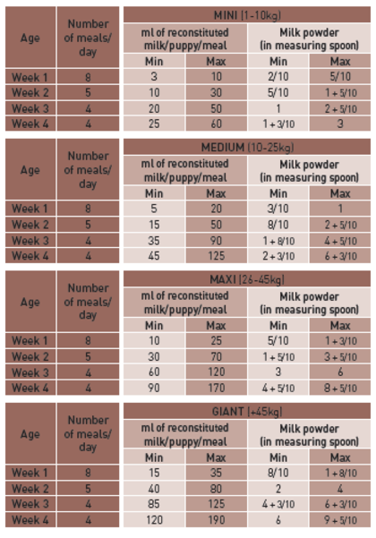 Babydog Milk feeding guide