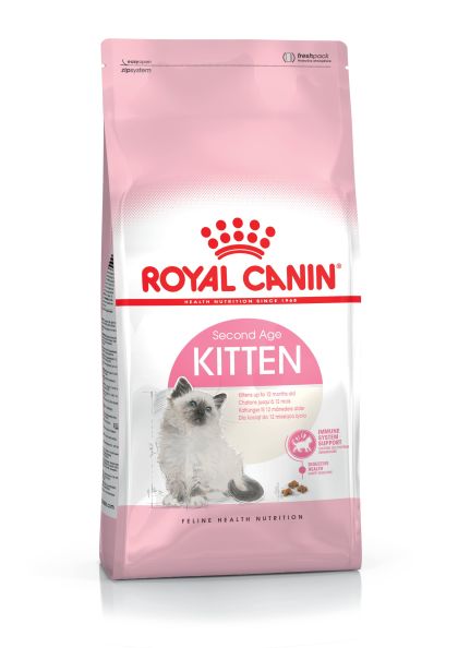 Kitten