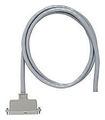 25 Pair Cable Assembly-One 180 Degree Male Plug 75 ft.