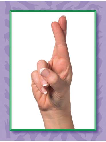 s--Xv4opsDi--/fsdxclnnfe6auxf4u5io.jpg