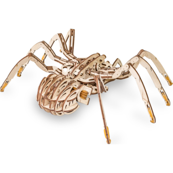 Spider 3D Wooden STEM Construction Kit
