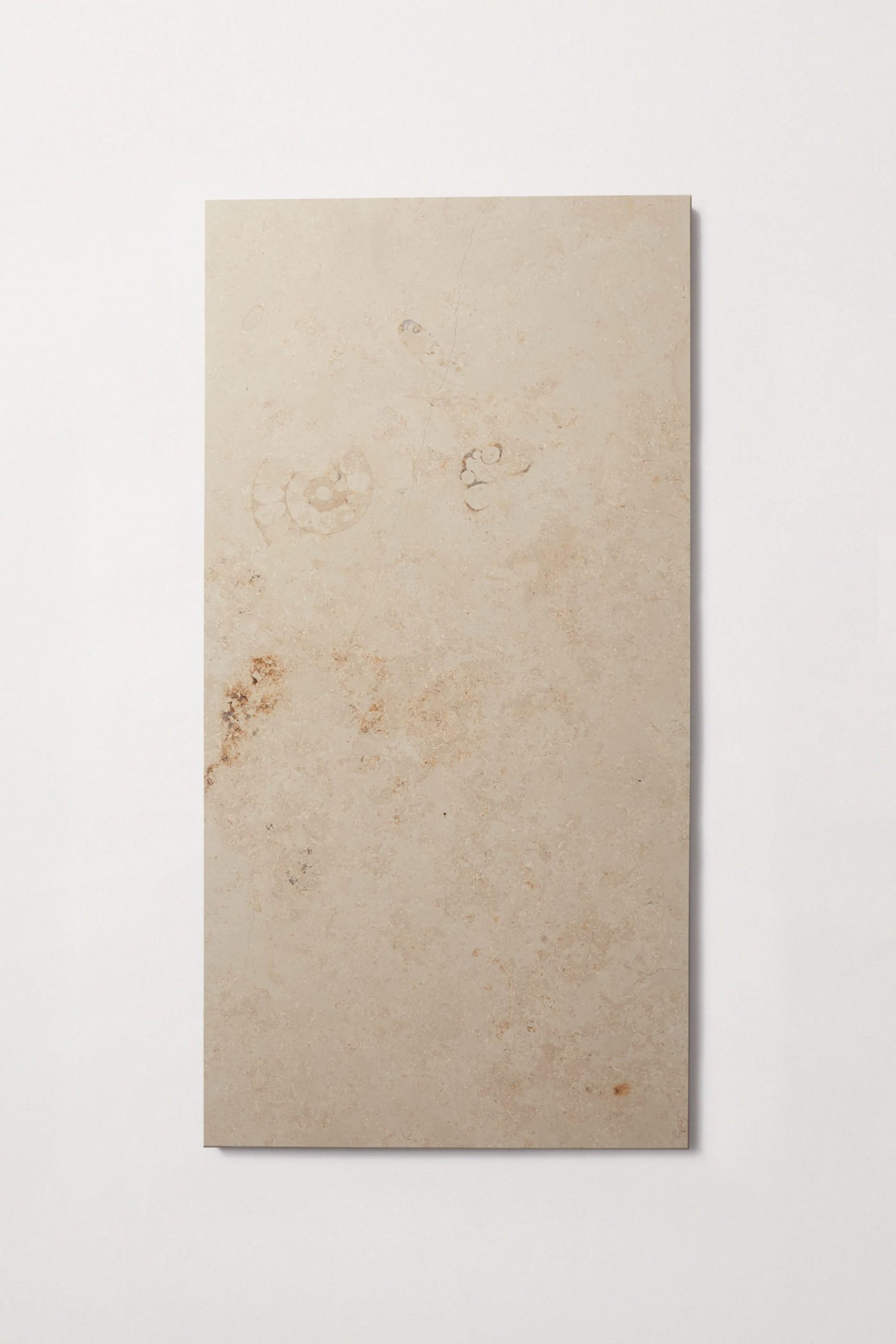 a rectangular limestone tile on a white surface.