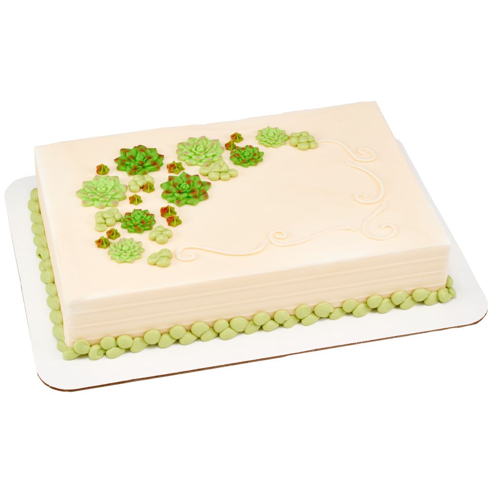 Image Cake Succulents