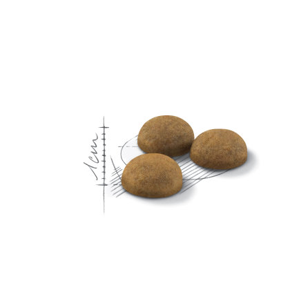 Indoor Long Hair kibble