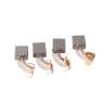 Brush Kit Carbon Motor Replmt 4Pcs