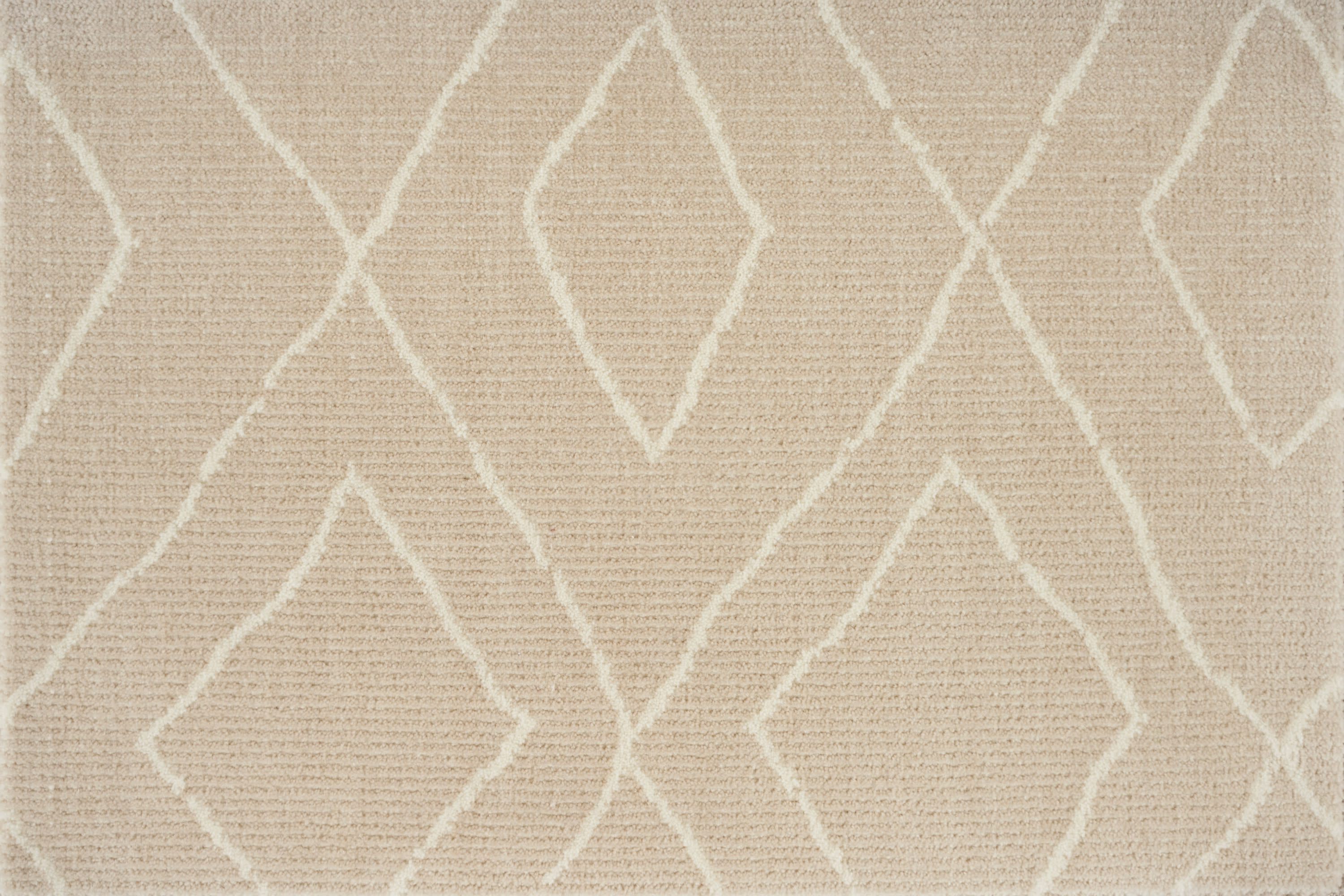 color-rug1