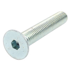 Screw 10X60 Uni 5933 Galv.