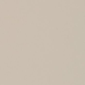 Beige painted wall (smooth, matte) occupying the entire frame, evenly lit and showing slight subtle speckling; close-up view with neutral indoor lighting, minimalistic and featureless.